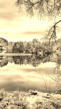 Szary + Sepia