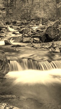 Sepia