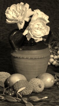 Szary + Sepia