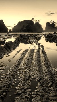 Szary + Sepia