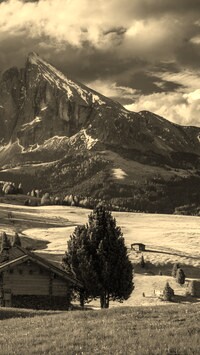 Szary + Sepia