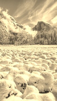 Szary + Sepia