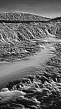 Skamielina