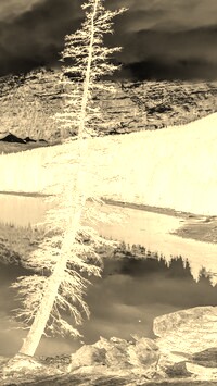 Sepia + Negatyw
