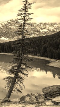 Szary + Sepia