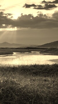 Szary + Sepia