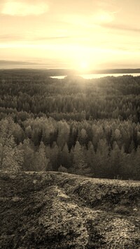 Sepia