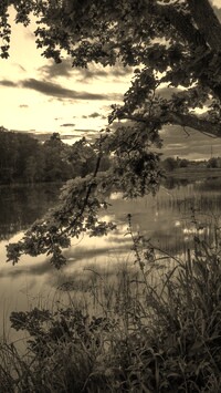 Sepia