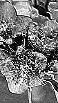Skamielina
