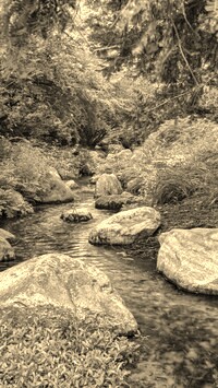 Sepia