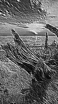Skamielina