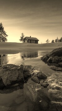 Szary + Sepia