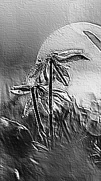 Skamielina
