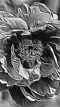 Skamielina