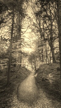 Sepia