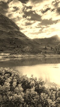 Szary + Sepia
