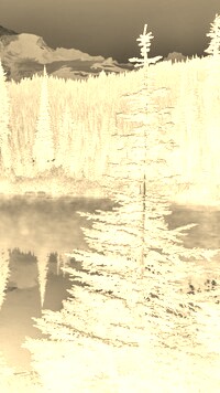 Sepia + Negatyw