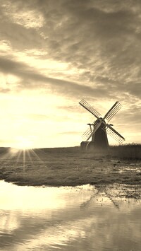 Szary + Sepia