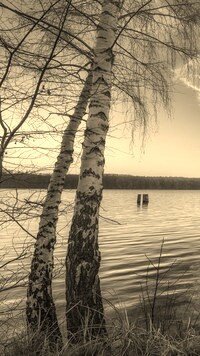 Szary + Sepia