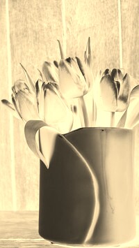 Sepia + Negatyw