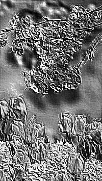 Skamielina