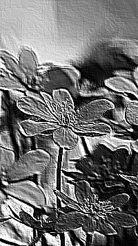 Skamielina