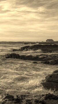 Szary + Sepia