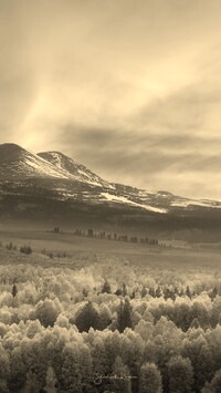 Szary + Sepia