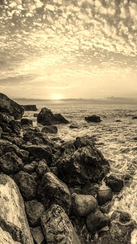 Szary + Sepia