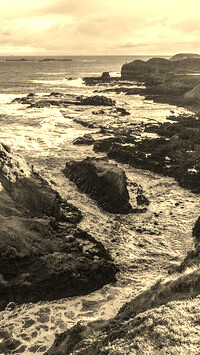 Sepia