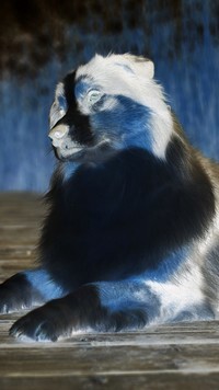 Negatyw
