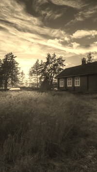 Sepia