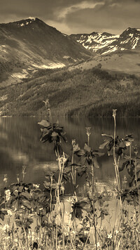 Sepia