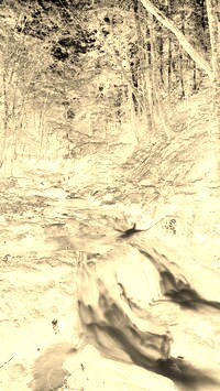 Sepia + Negatyw