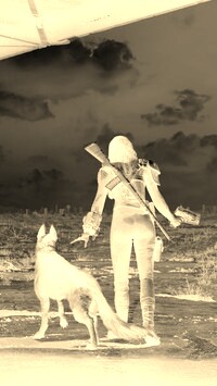 Sepia + Negatyw
