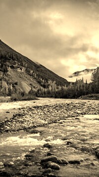 Sepia
