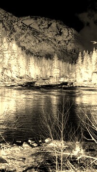 Sepia + Negatyw