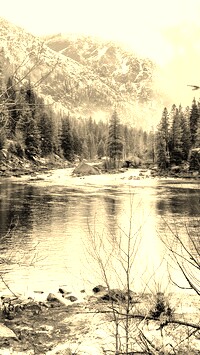 Szary + Sepia