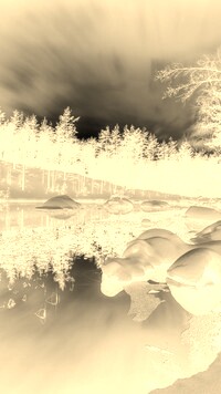 Sepia + Negatyw