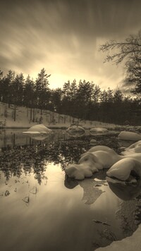 Szary + Sepia