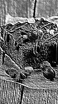 Skamielina