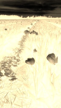 Sepia + Negatyw