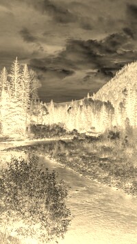 Sepia + Negatyw