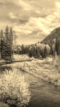 Sepia