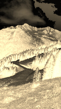 Sepia + Negatyw