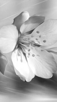 Szary
