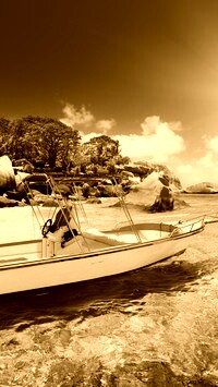 Sepia
