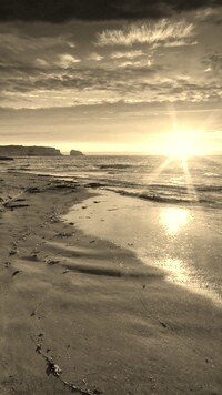Sepia
