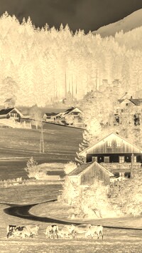 Sepia + Negatyw