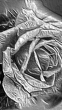Skamielina